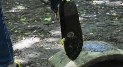 New Favorite Archetype 