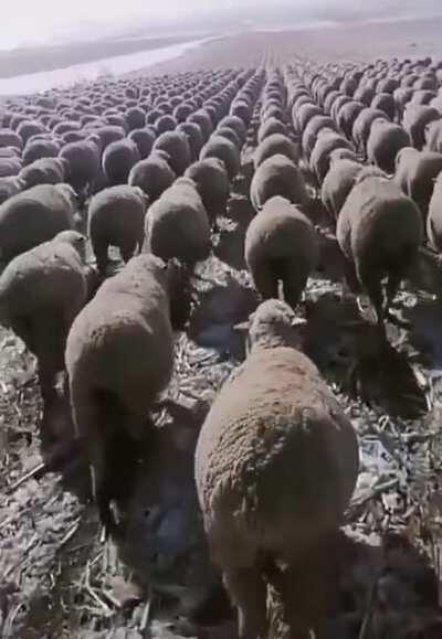 Imperial March starts playing