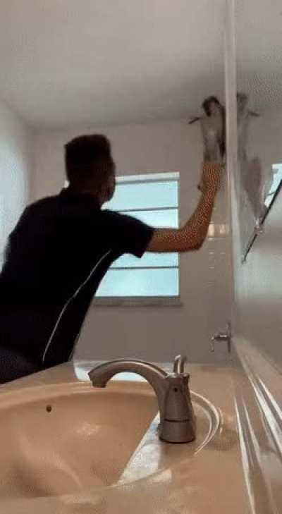 Pro Tip: Never Let A Monkey Dictate The Terms...