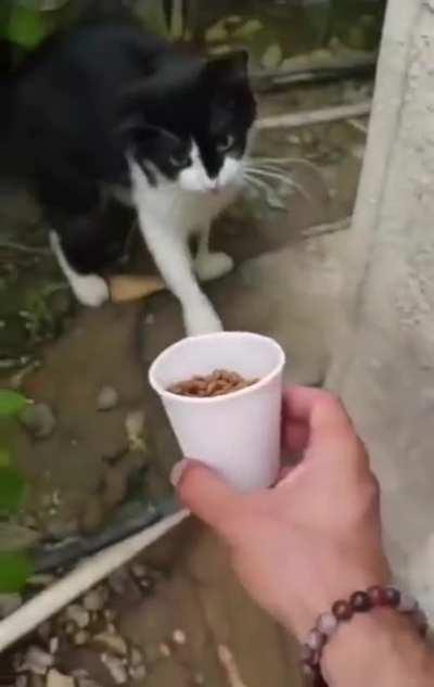 Now get me some Real SNACKS before I 