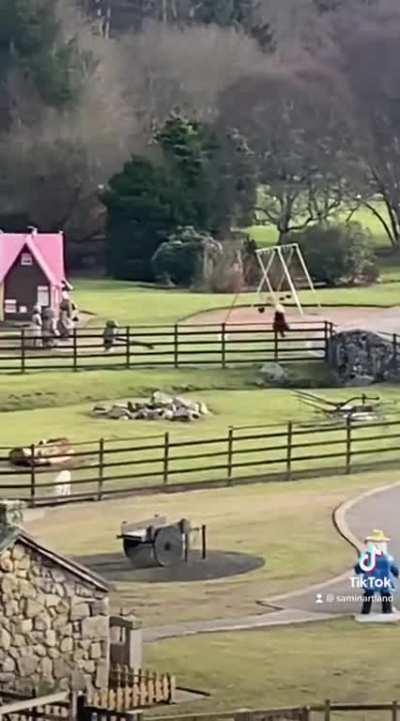 I don’t like running but I couldn’t resist him