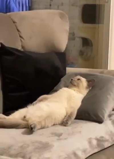 Me thinking about going back to work tomorrow