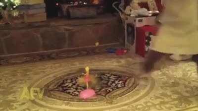 This Is The Best Christmas Ever!