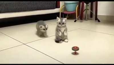 No noo, please don’t touch it