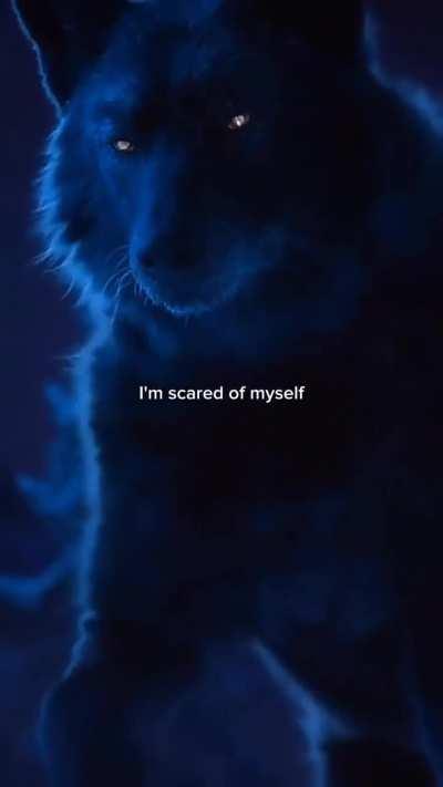 ihaveih av alpha wlof