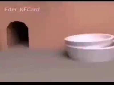 Biblically, accurate ratatouille