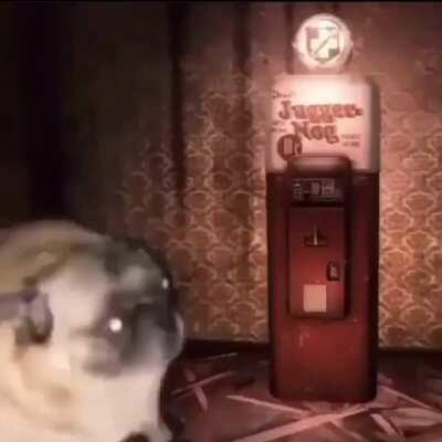 Me waiting for the round to change