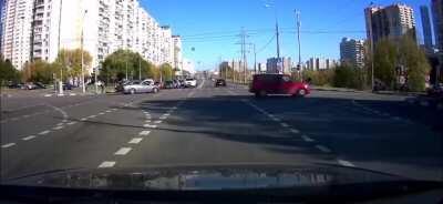 An invasive species called the “Mustang driver” has been discovered in Russia