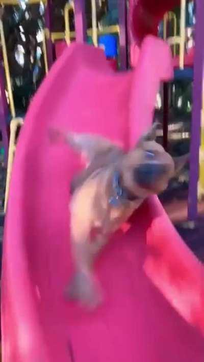 gotta act like no-one saw that