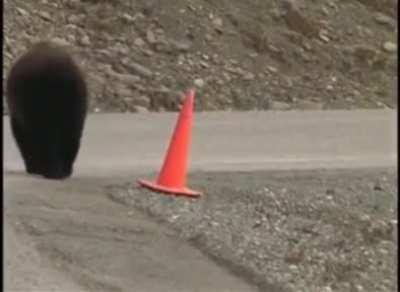 roadworker bear