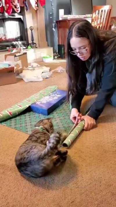 Santa’s little helper