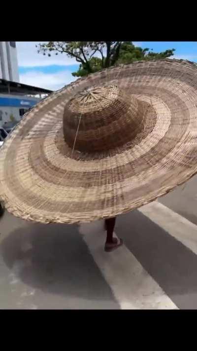 What harm the sun can do to him