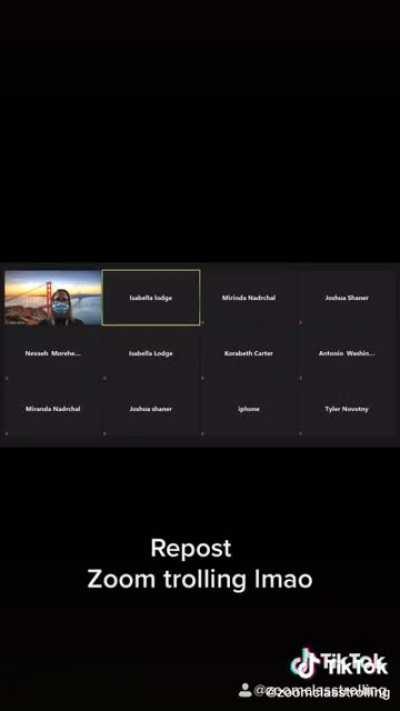 Abusing underpaid teachers over zoom is so cool