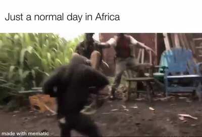 I think this belongs here