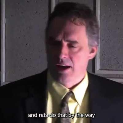 What is this type of meme called?