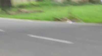 When you try to show off with your new motorcycle.