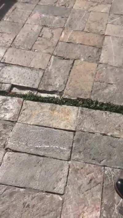 Ground shifting during a 7.4 earthquake in Oaxaca Mexico