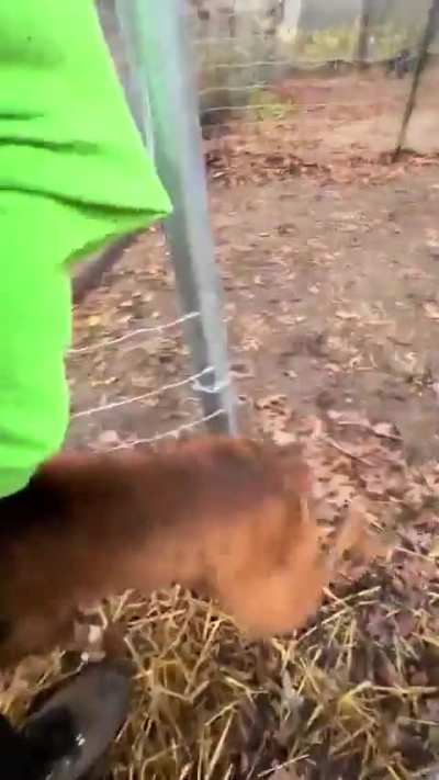 This is the best thing I've seen today!
