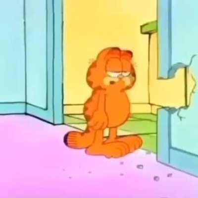 Moldy garfield