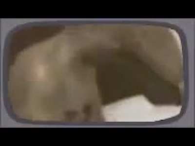 ytp censorship by obama comedy