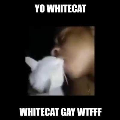 WHITECAT OMG WHAT ARE YOU DOING!!!! >:(