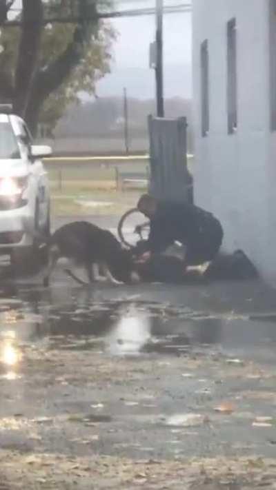 Dude with a knife punches responding officer in the face. Proceeds to meet pupper.