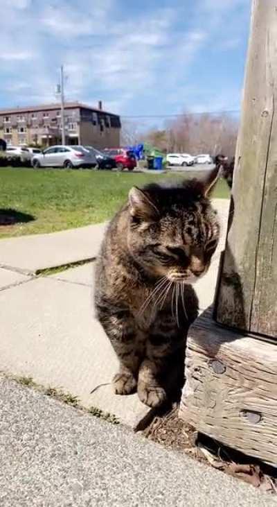 Can’t walk past Tom without being yelled at