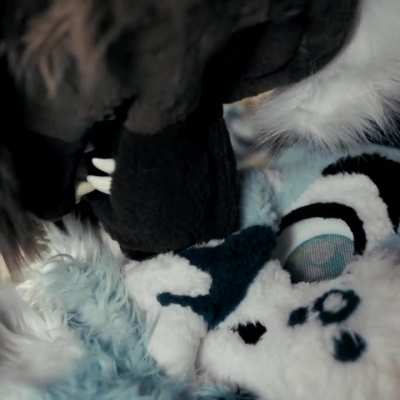 Nose booping intensifies