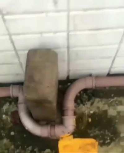 Not my job to move that brick.