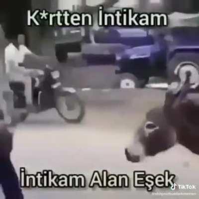 Bu devrimin ve kurtuluşun videosudur başkaldırı başladı arkadaşlar hepimize hayırlı olsun