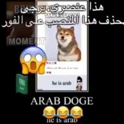 Only here for savevideo