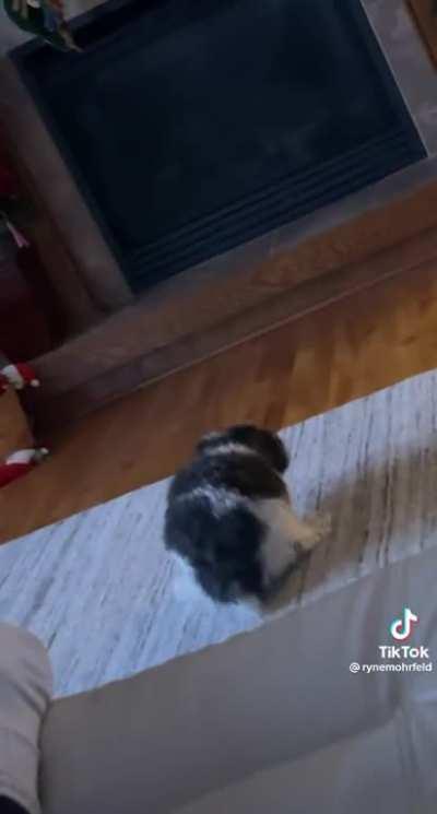 The sounds of passion