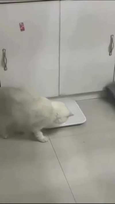 Has cat.exe grown too much?