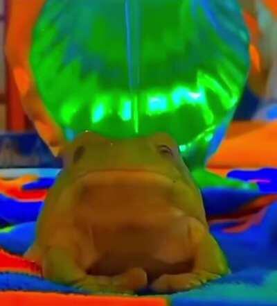 Male singer, possibly Lo-Fi?