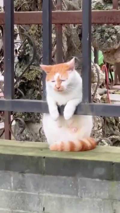 It’s Monday Morning my friends