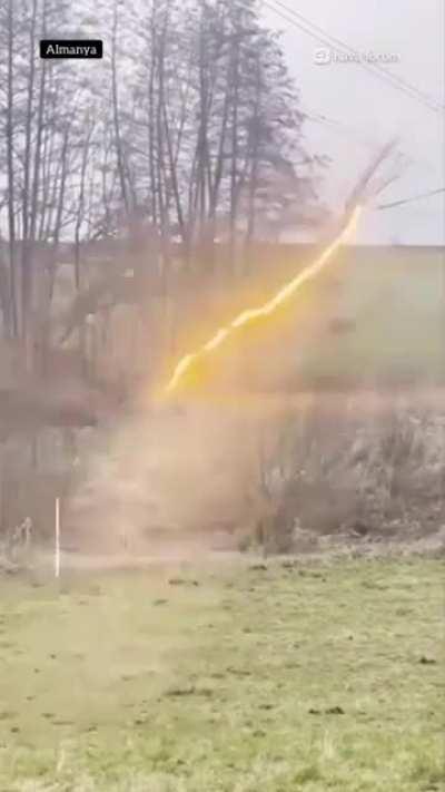 Lighting ⚡️Pulsating thru a Tree !!!!