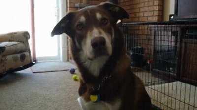 Huh? RUN FOR YOUR LIFE