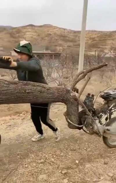 This Crazy Ass Motorized Tree Trike...