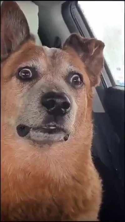 When you look over you gfs shoulder and she's going through your search history.