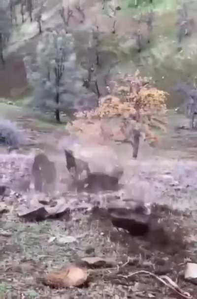 For my male audition 