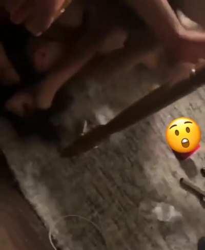 She cracked a bottle on her head and then got BEAT UP