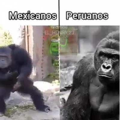 No insultes a mi mexico querido 😡😡