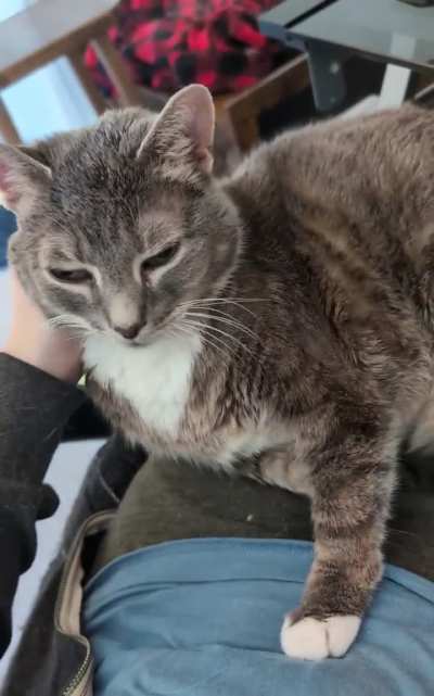 Finally caught Duncan's activation sounds!