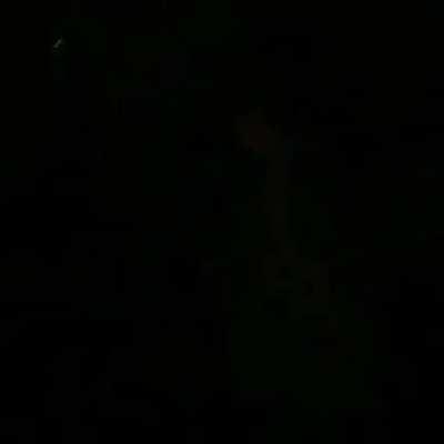 to release balloons into the sky