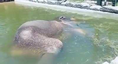 When you go to sleep underwater and realize you need to breathe