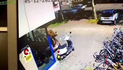 Luckily karma arrived in time