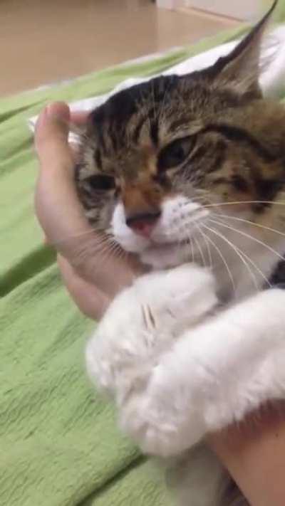 this hand is MINE! get your own hand