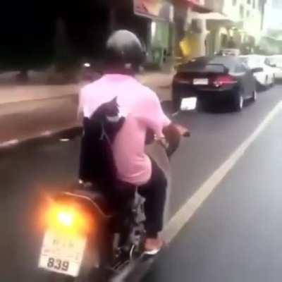 Lazy functions may be risky