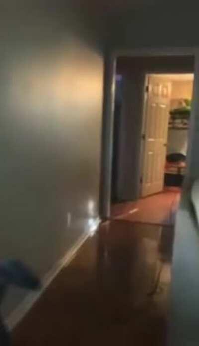 Found on 9gag, carpet farter