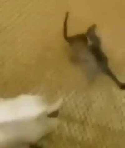 Can someone tell whats going on here...